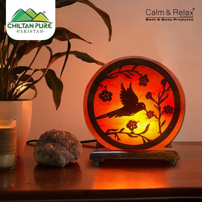 3D Shape - Flying Bird Plate Pink Salt Lamp - ChiltanPure
