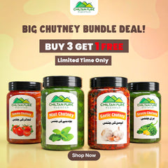 Bundle Of 4 Chutney At The Price Of 3 / Green Chutney / Garlic Chutney / Mint Chutney / Tomato Chutney
