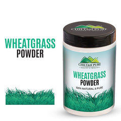Wheatgrass Powder