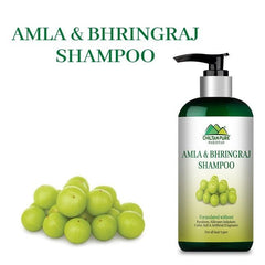 Amla & Bhringraj Shampoo / آملہ اور بھِرنگراج شیمپو / Amla aur Bhringraj Shampoo - ChiltanPure