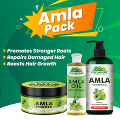 Amla Pack - Repairs Damaged Hair, Promotes Stronger Roots & Hair Growth - ChiltanPure