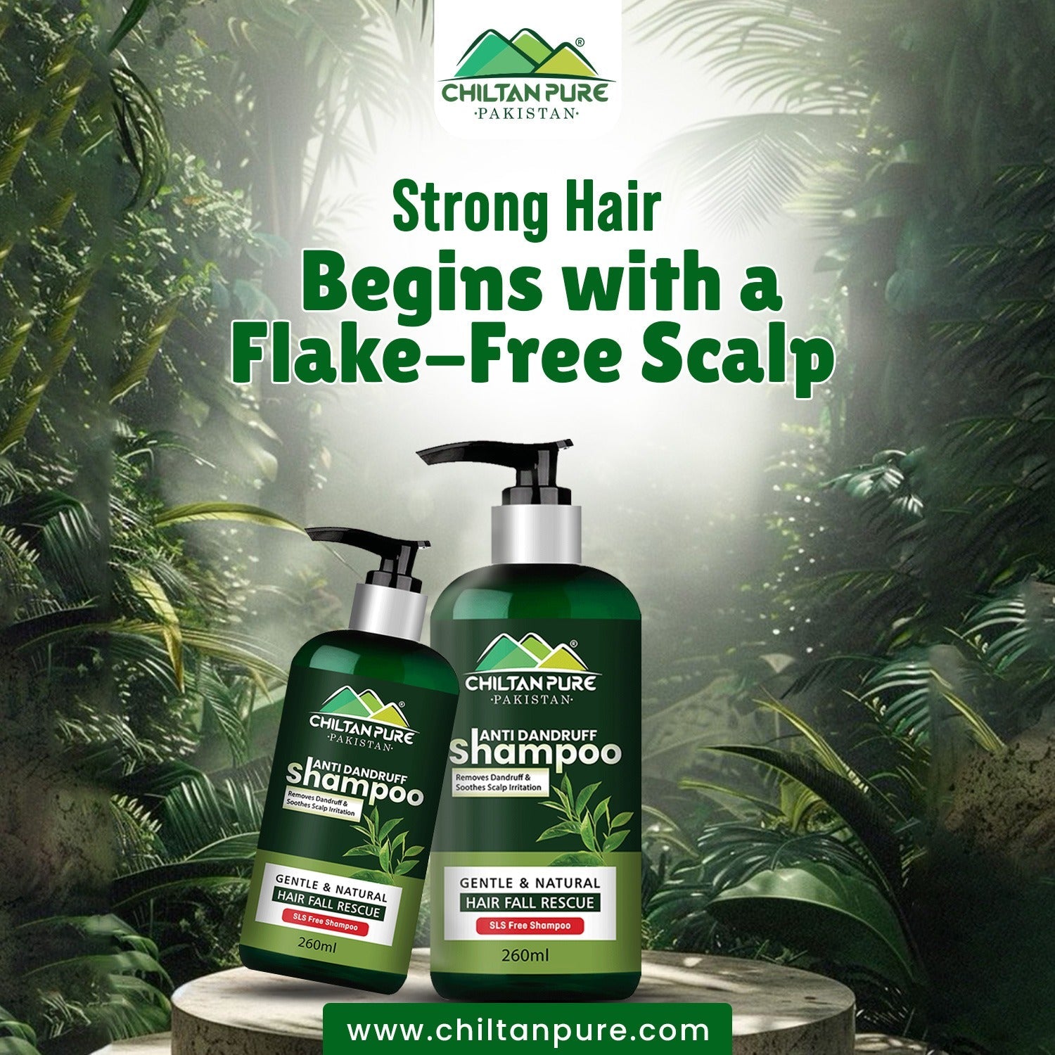 Anti Dandruff Shampoo – Strengthens Hair, Eliminate Wet Dandruff, Soothes Scalp Itching & Contains Anti - Dandruff Properties - ChiltanPure