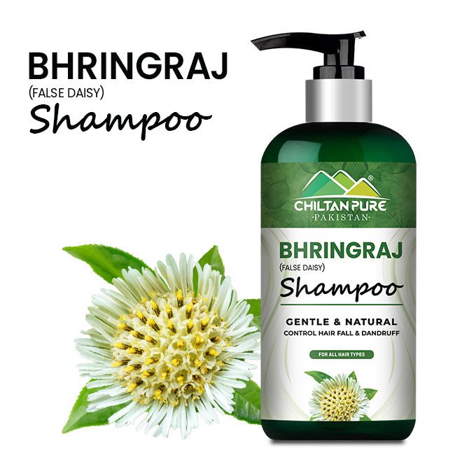 Bhringraj Shampoo - Nourishes Scalp, Promotes Hair Growth, and Prevents Premature Hair Greying - ChiltanPure