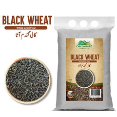 Black Wheat / کالی گندم آٹا / Kali Gandum Aata / 1kg - ChiltanPure