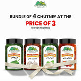 Bundle Of 4 Chutney At The Price Of 3 / Green Chutney / Garlic Chutney / Mint Chutney / Tomato Chutney - ChiltanPure