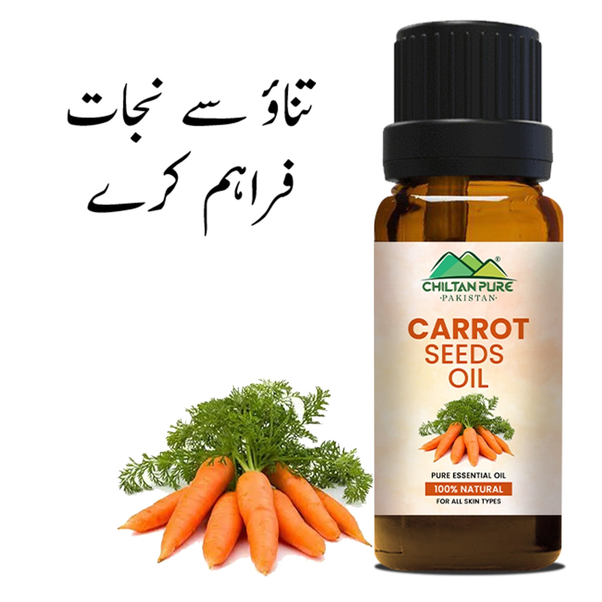 Carrot Seed Essential Oil – Natural Stimulant, Detoxifies Blood, Improves Complexion & Provides Relief from Stress 20ml - ChiltanPure