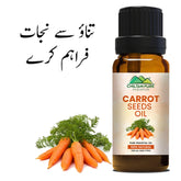 Carrot Seed Essential Oil – Natural Stimulant, Detoxifies Blood, Improves Complexion & Provides Relief from Stress 20ml - ChiltanPure
