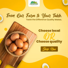 Desi Eggs 1 Dozen (12eggs) - ChiltanPure