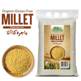 Millet Flour - bajra ka Atta - 1kg - ChiltanPure