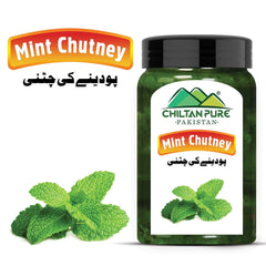Mint Chutney - Freshness in Every Spoonful - ChiltanPure