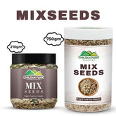 Mix Seeds – Rich in Antioxidants, Metabolism Booster & Good Source of Omega - 3 - ChiltanPure