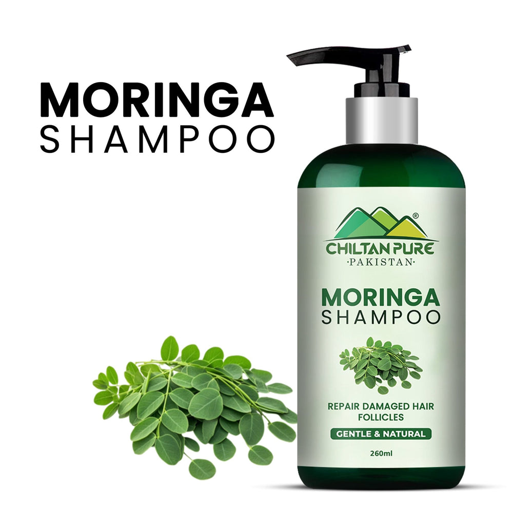 Moringa Shampoo – High Nourishing & Moisturizing Antioxidant Power - ChiltanPure