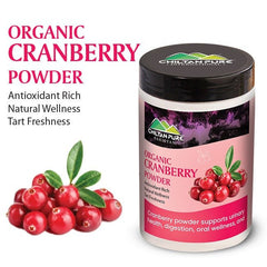 Organic Cranberry Powder / کرینبیری پاؤڈر / Antioxidant Rich Natural Wellness Tart Freshness - ChiltanPure