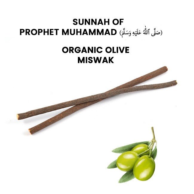Organic Olive Miswak / زیتون مسواک / Zaitoon Miswak - ChiltanPure