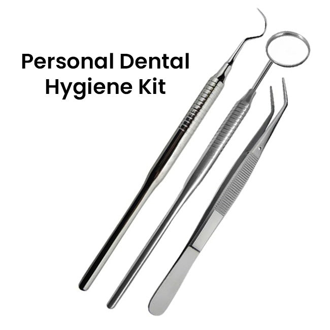 personal Dental Hygiene kit - ChiltanPure