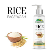Rice Face Wash – Acts as a Natural Cleanser, Anti – Aging, Lighten Scars, Mattifies Oily Skin, & Soothes Sun Damage 150ml - ChiltanPure