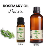 Rosemary Essential Oil – Best Antiseptic Skin Tonic - ChiltanPure
