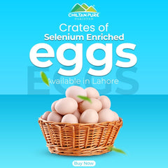 Selenium Enriched Eggs / 1 Dezon (12eggs) - ChiltanPure