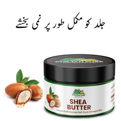 Shea Butter For Moisturization - Softness and Smoothness with Shea Bliss - ChiltanPure
