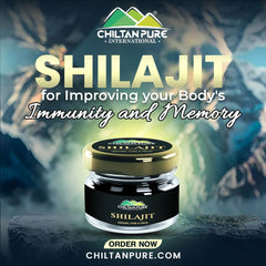 Shilajit سلاجیت Nature’s Gift, Counter Weakness & Increase Body Strength - ChiltanPure