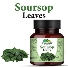 Soursop Leaves / سورزپ لیوز - ChiltanPure