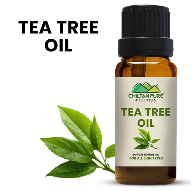 Tea Tree Oil – Best Tea Tree Oil For Acne Scars - ChiltanPure