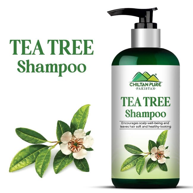 Tea Tree Shampoo - ChiltanPure