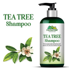 Tea Tree Shampoo - ChiltanPure