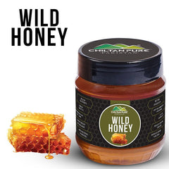 Wild Mountainous Honey - Pure Delicious (جنگلی شہد) - ChiltanPure