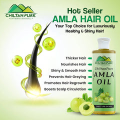Amla Oil – Lessen Hair Loss, Boosts Hair Growth, Treats Dry Scalp & Prevents Premature Hair Greying - ChiltanPure