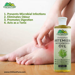 Artemisia Infused oil – Wormwood Infused oil – Promotes Digestion, Relieves Nervous Afflictions, Acts as Emmenagogue & Cholagogue 200ml - ChiltanPure