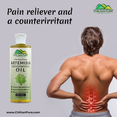 Artemisia Infused oil – Wormwood Infused oil – Promotes Digestion, Relieves Nervous Afflictions, Acts as Emmenagogue & Cholagogue 200ml - ChiltanPure