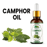 Camphor Oil (Karpura) - Treats Acne, Cleanses Skin, Stimulates Hair Growth, Best for Lice Prevention, Relieves Respiratory Congestion, Acts as a Pain Reliever & Ideal for Aromatherapy - ChiltanPure