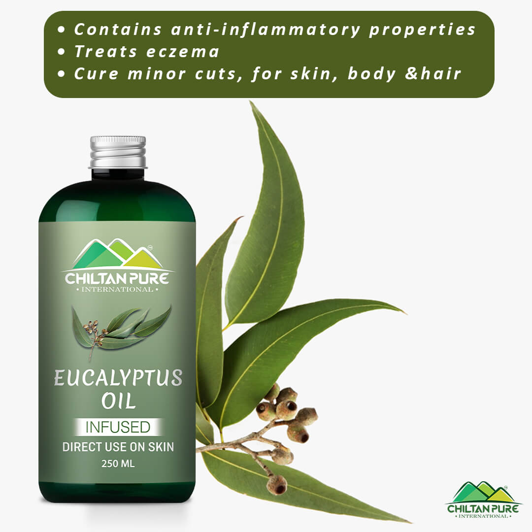 Eucalyptus Infused Oil – Prevents Acne, Soothes Dry Skin, Natural Stress Buster & Reduces Scalp Irritation 250ml - ChiltanPure