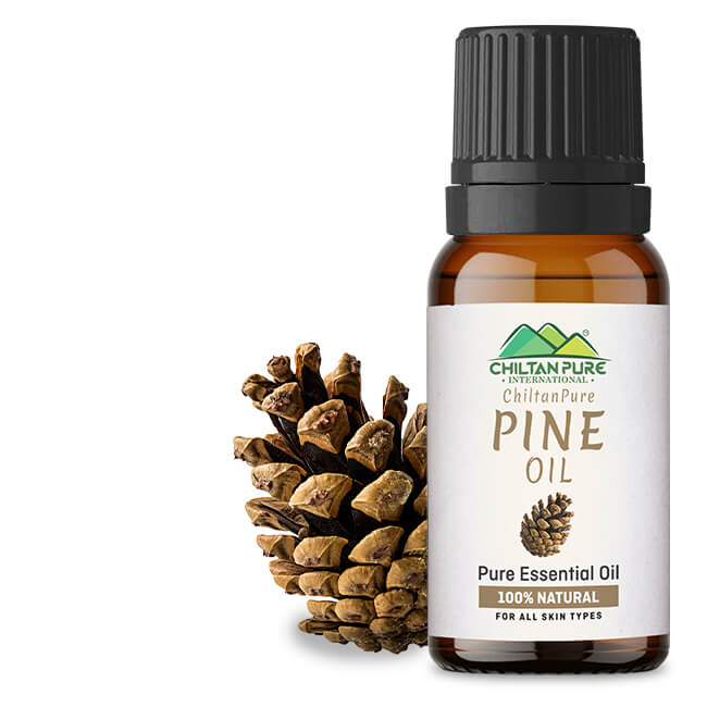 Pine Essential Oil - Memory Booster, Powerful Antioxidant, Enhances Cognition, Treats Eczema & Rosacea - ChiltanPure