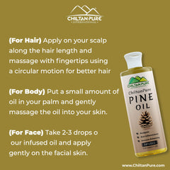 Pine Infused Oil – Decongestant, Circulation-Stimulating & Immune-Enhancing - ChiltanPure
