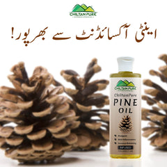 Pine Infused Oil – Decongestant, Circulation-Stimulating & Immune-Enhancing - ChiltanPure