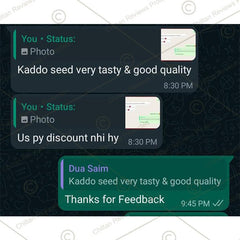 CHILTAN PURE Pumpkin Seeds – packaged pumpkin seed product image