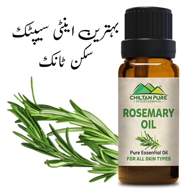 Rosemary Essential Oil – Best Antiseptic Skin Tonic - ChiltanPure