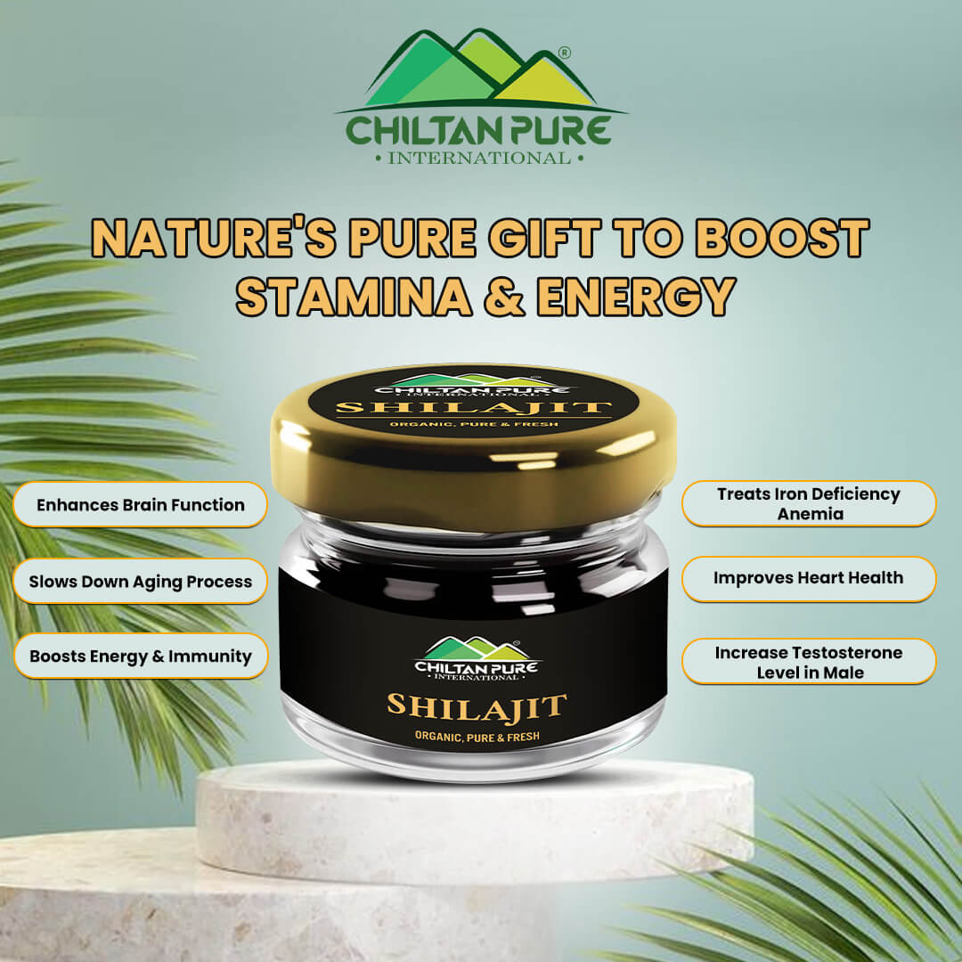 Shilajit – Nature’s Gift, Counter Weakness & Increase Body Strength - ChiltanPure