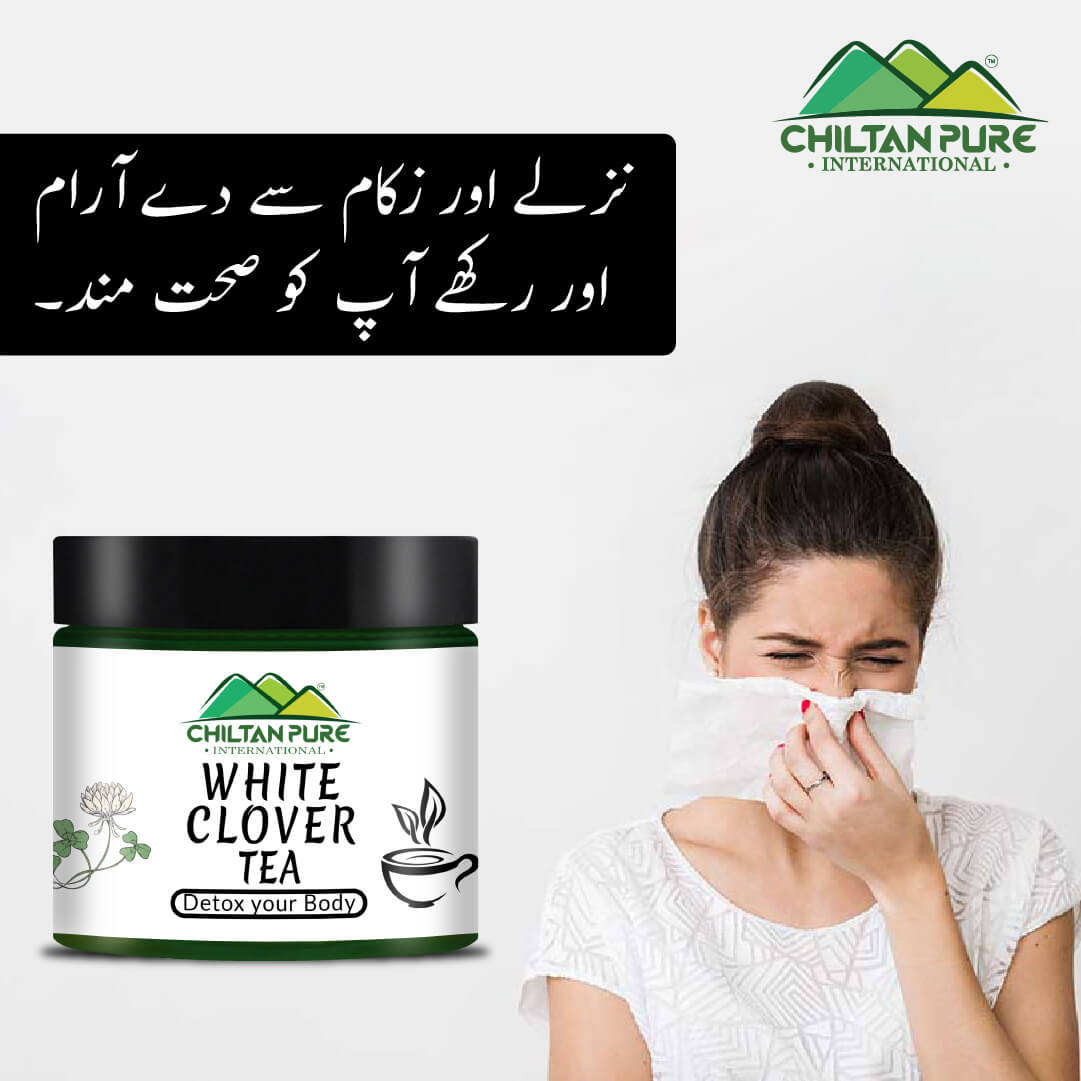 White Clover Tea - Heal Wounds, Cure Minor Eyes Infection, Treat Fever, Aches & Dizziness - ChiltanPure