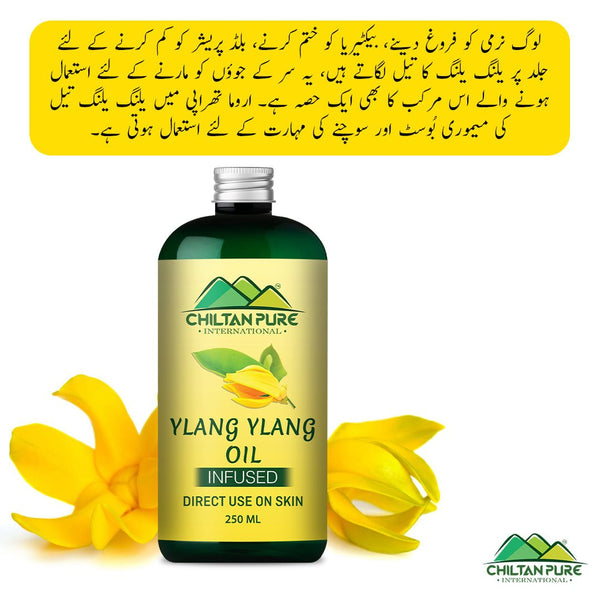 Buy Ylang Ylang Infused Oil at Best Price in Pakistan ChiltanPure