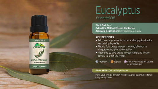 4 Amazing Eucalyptus Oil Benefits You Need to Know - ChiltanPure