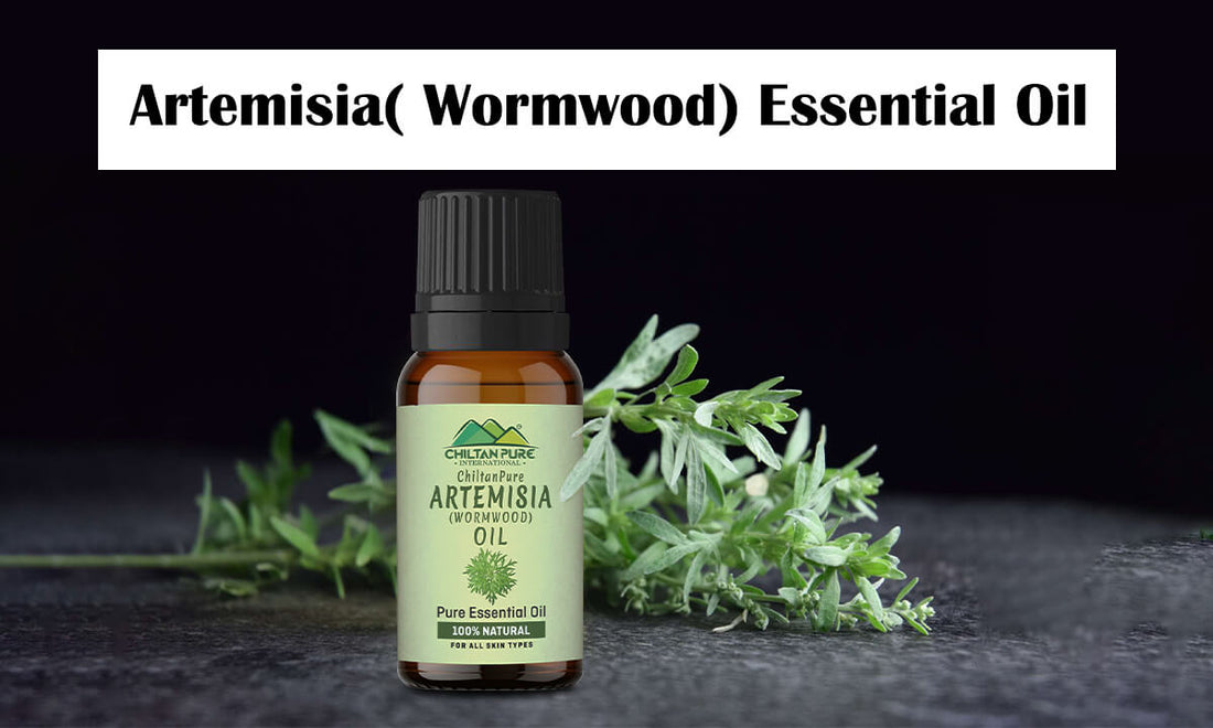 9 Incredible Benefits of Artemisia (Wormwood) Essential Oil - ChiltanPure
