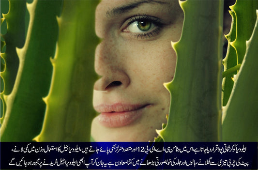 ایلوویرا جیل چہرے، بالوں اور جسم کی حفاظت ایک ساتھ - ChiltanPure
