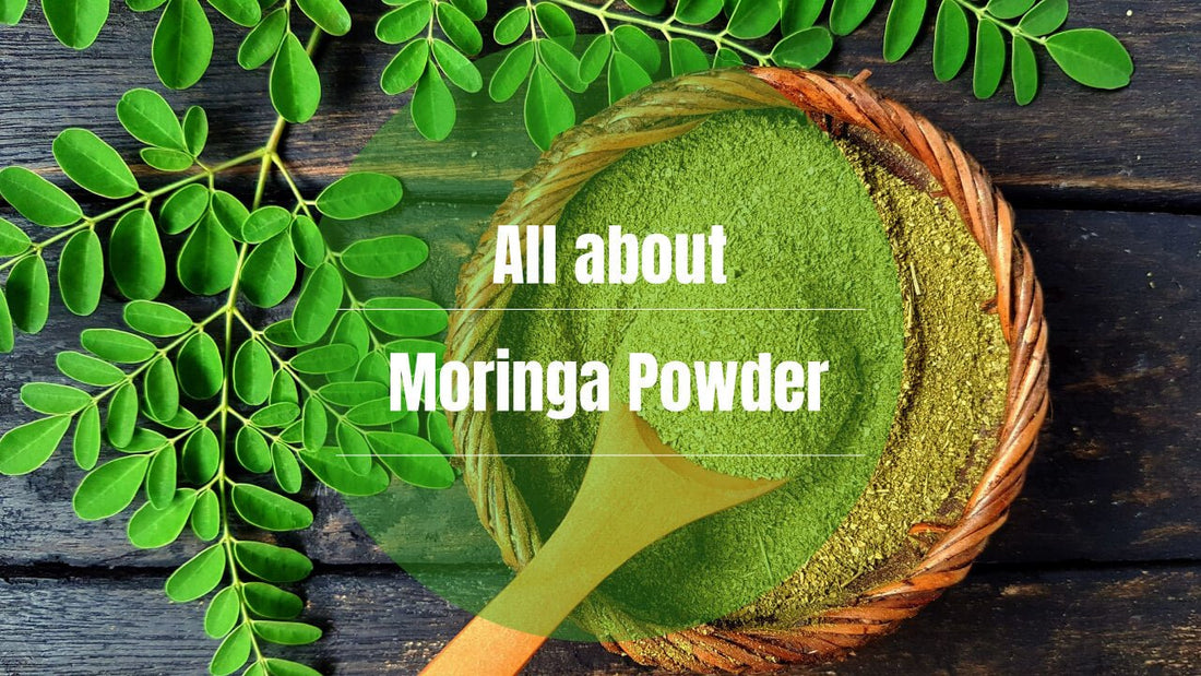 All about Moringa Powder - ChiltanPure