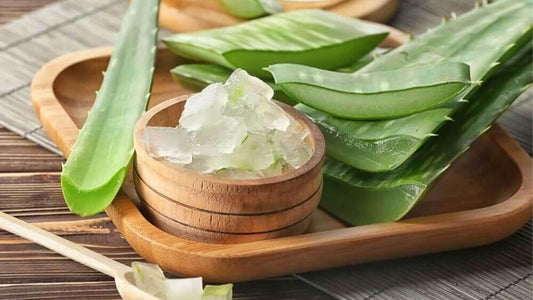 Aloe Vera Benefits: For Skin, Hair and Health - ChiltanPure
