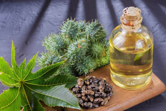 Amazing Castor Oil Benefits for Hair | Skin | Health ~ Chiltanpure - ChiltanPure