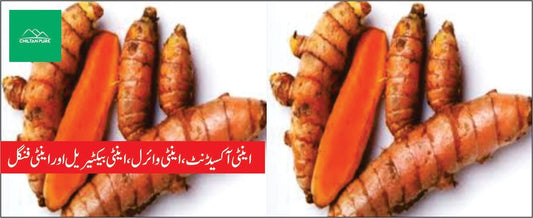 آنبہ ہلدی پودے کے طبی فوائد - ChiltanPure