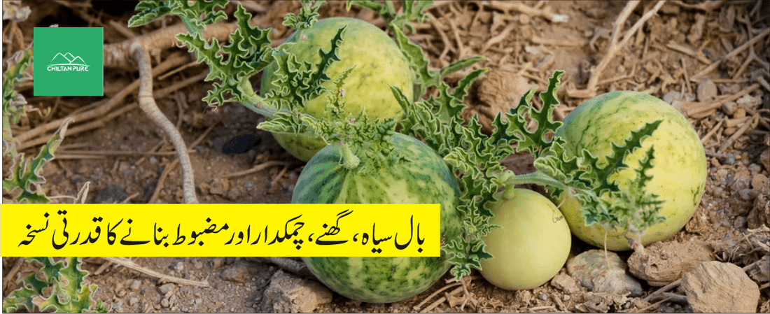 اندرائن پودے کے طبی فوائد - ChiltanPure